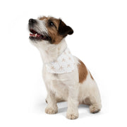 Auggie &amp; Zo Bandana à collier pour animaux de compagnie Palmiers du désert