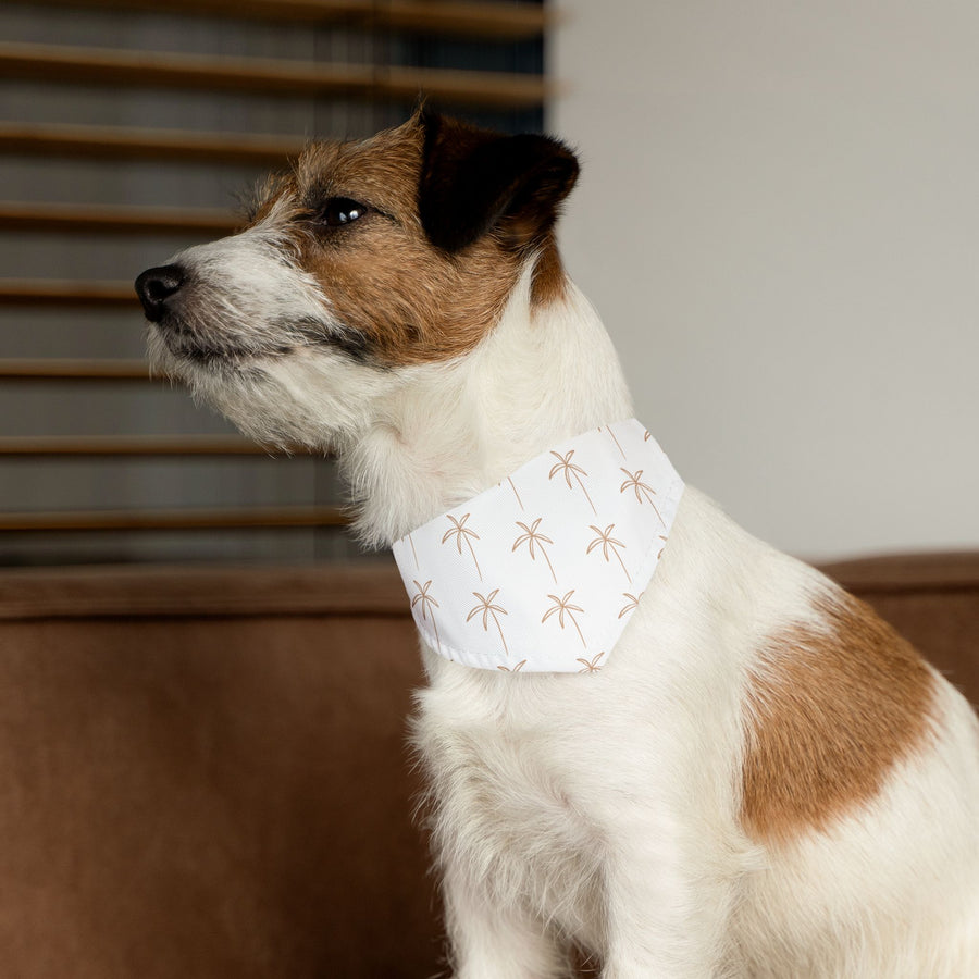 Auggie & Zo Desert Palms Pet Collar Bandana