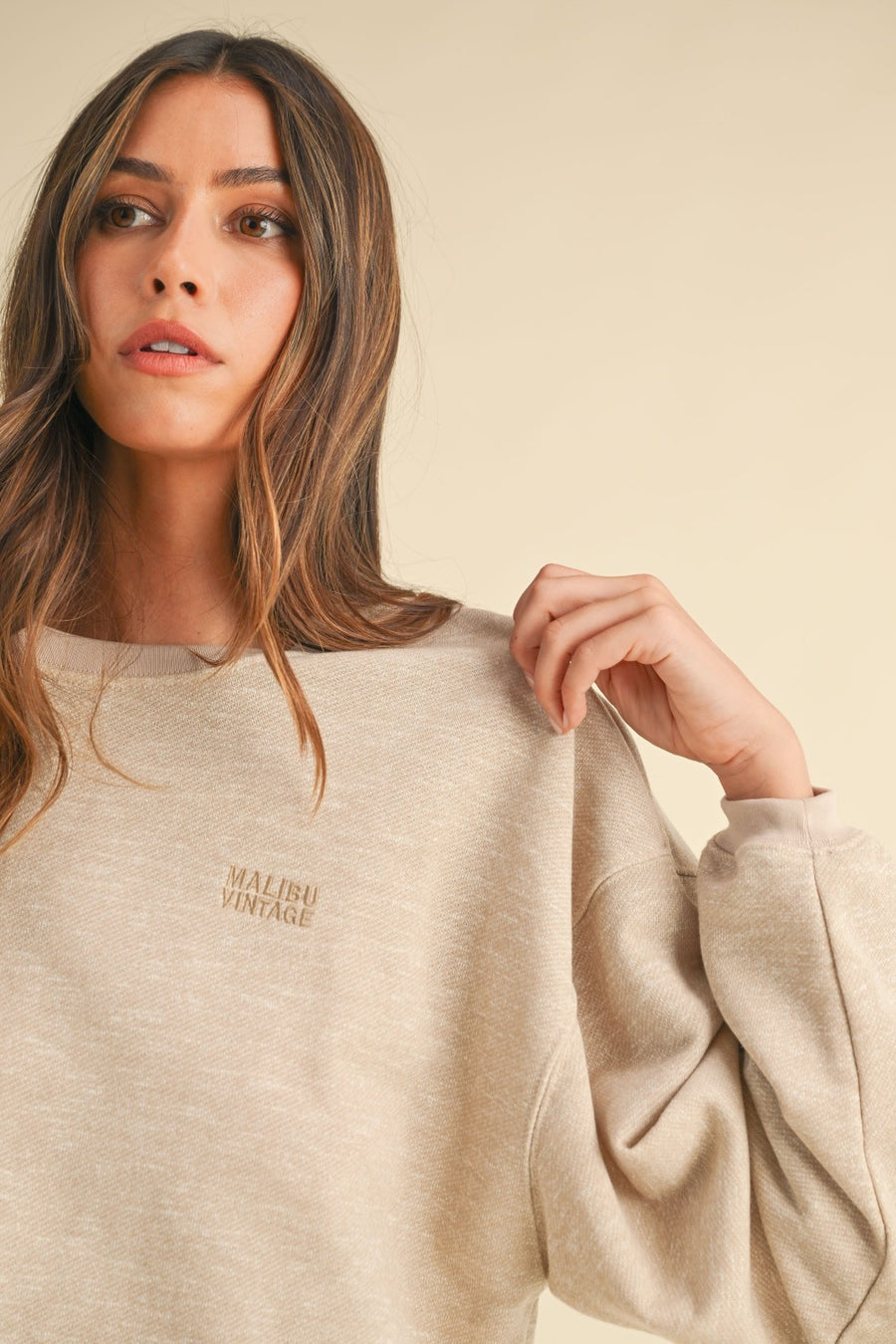 Malibu Vintage Embroidery Crop Sweatshirt - Taupe