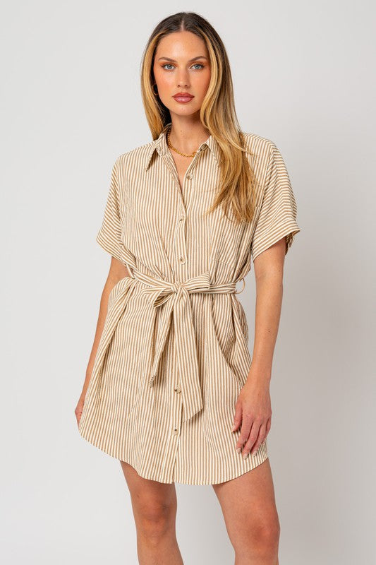 Minnie Button Down Shirt Dress