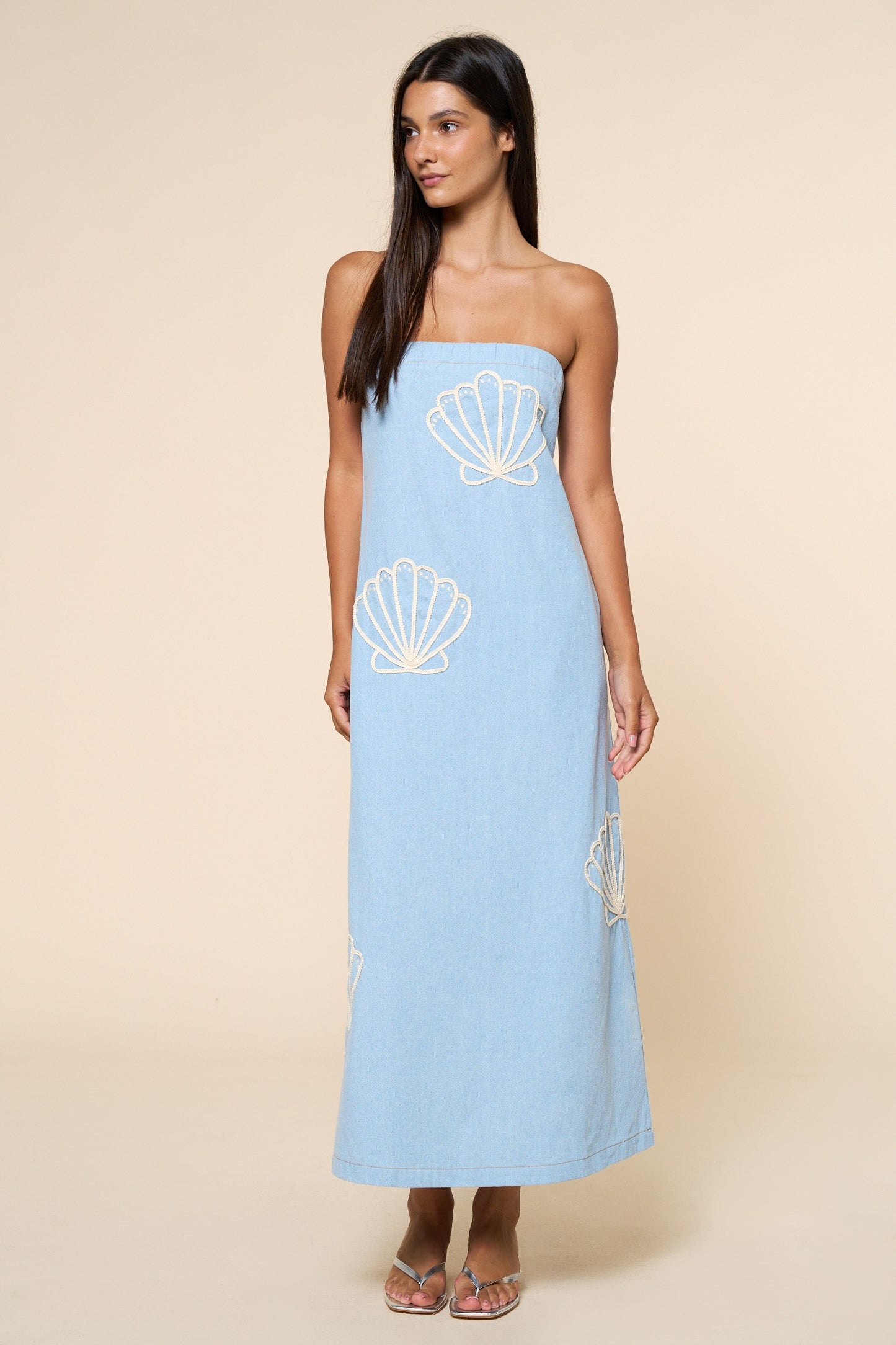 Cove Embroidered Tube Maxi Dress