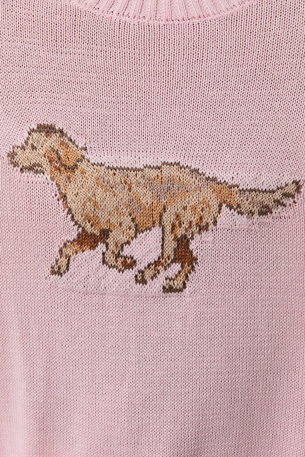 Run, Birdie, Run Sweater