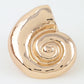 Polished Conch Shell Brooch