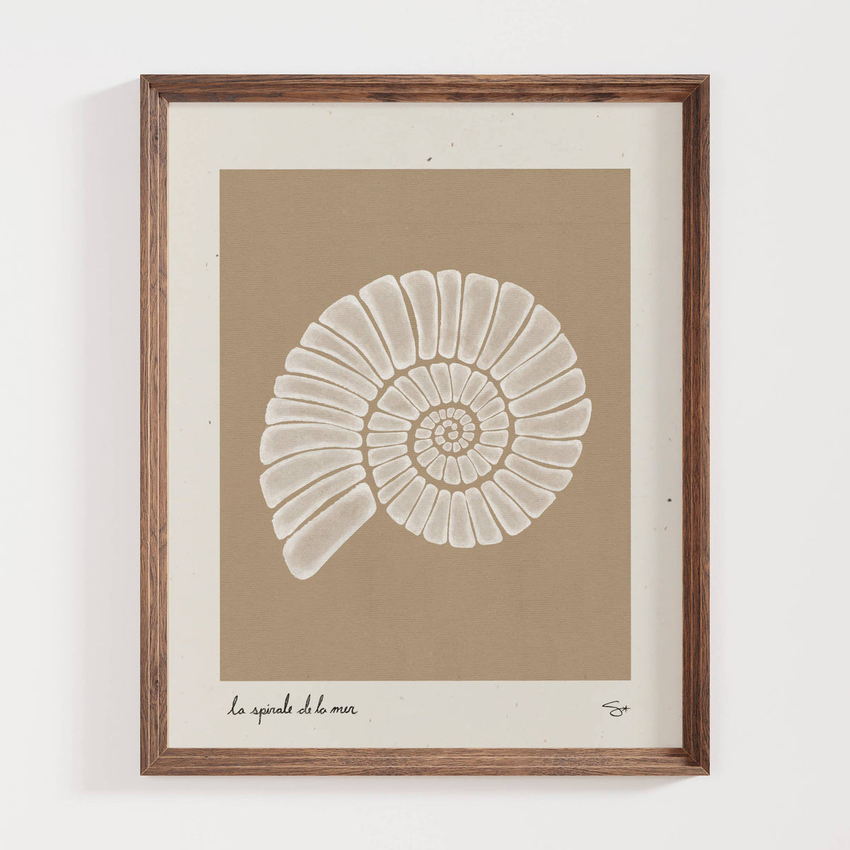 Sea Spiral | Seashell Art Print