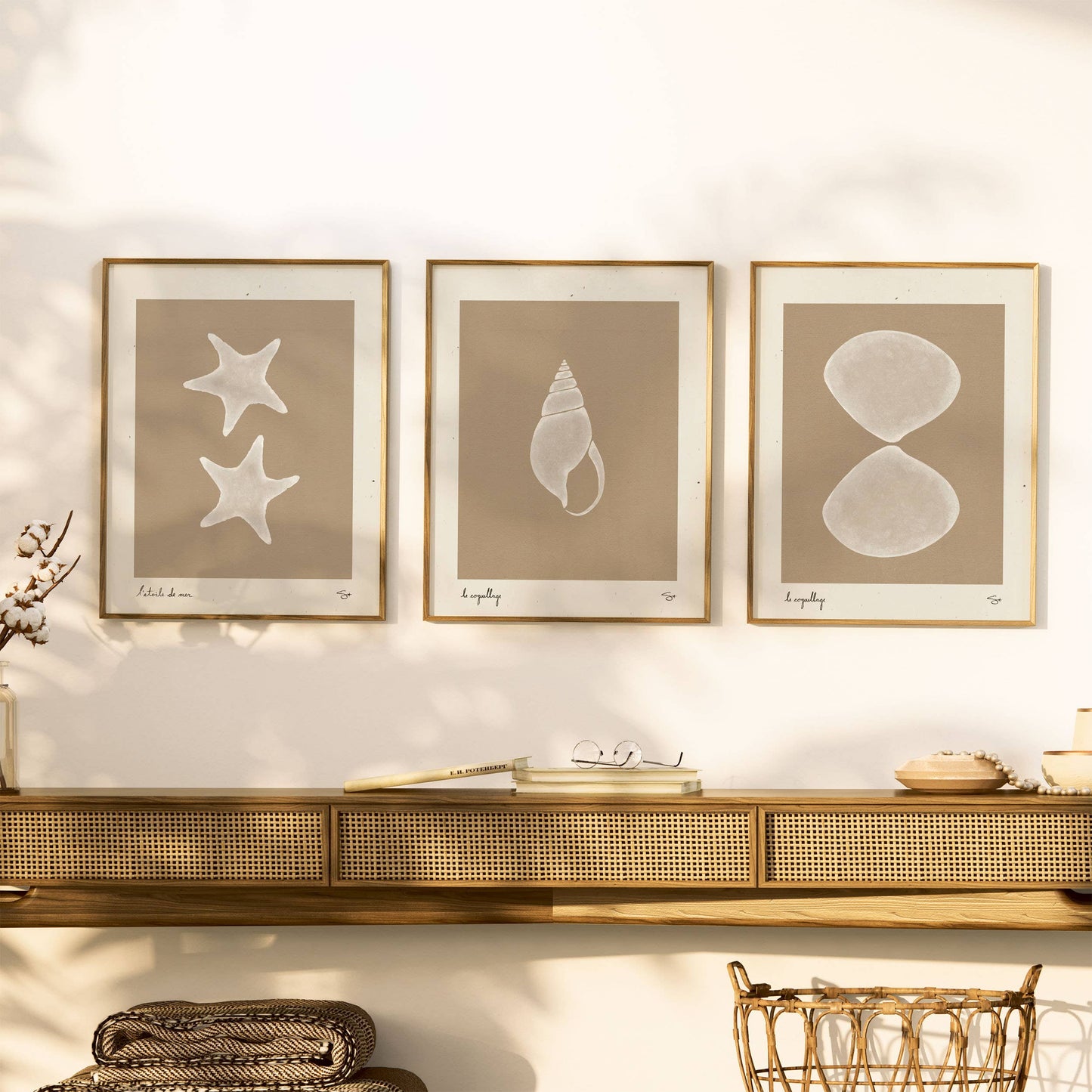 Sea Shell 2 | Seashell Art Print