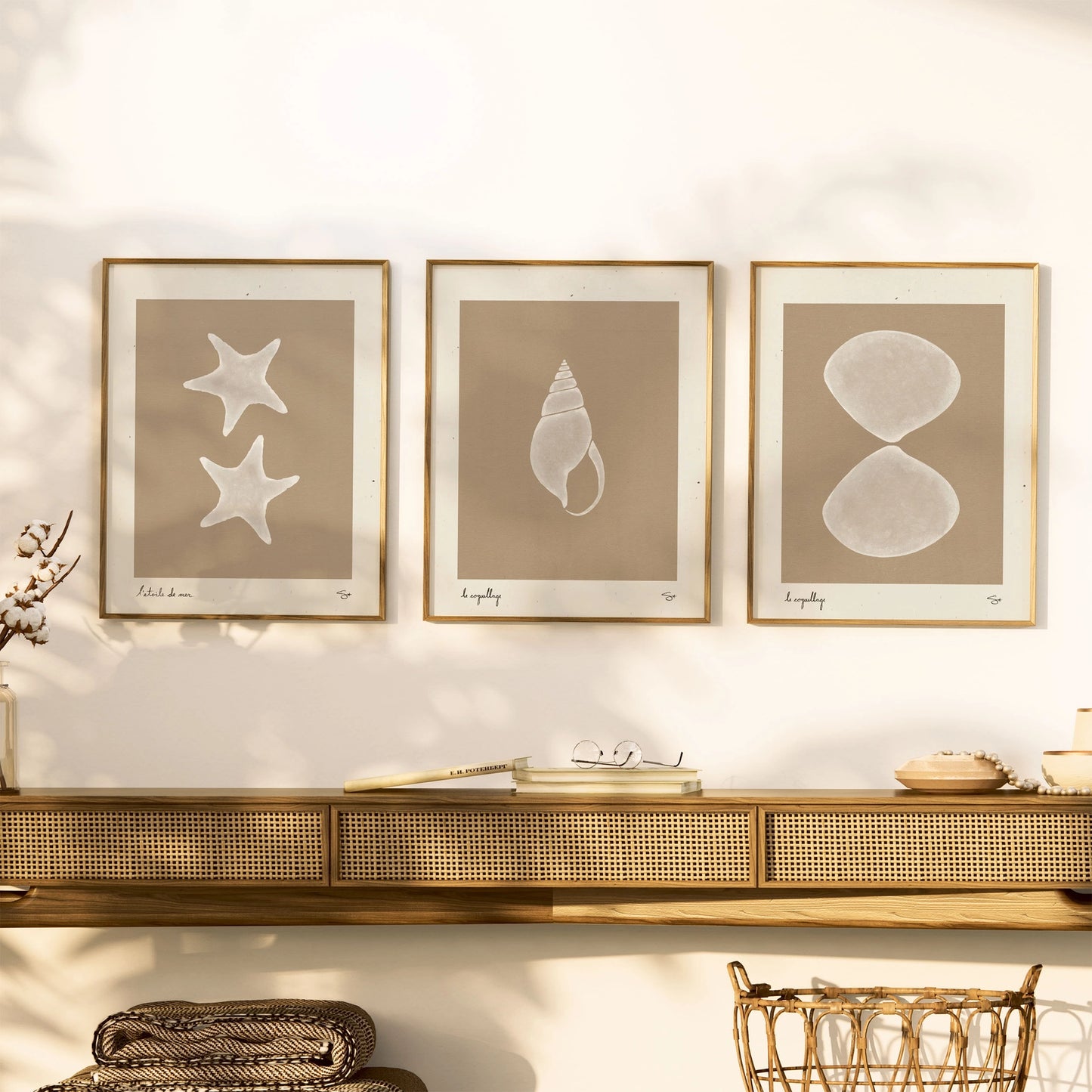 Sea Shell 1 | Seashell Art Print