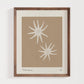 Sea Star 1 | Seashell Art Print