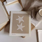 Sea Star 2 | Seashell Art Print