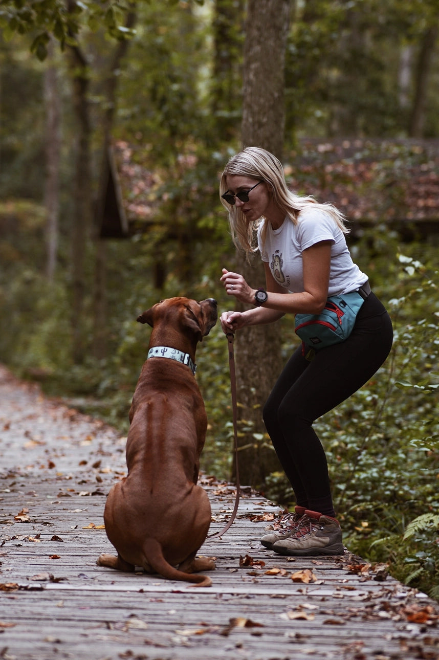 Shoreline Leash - Tan