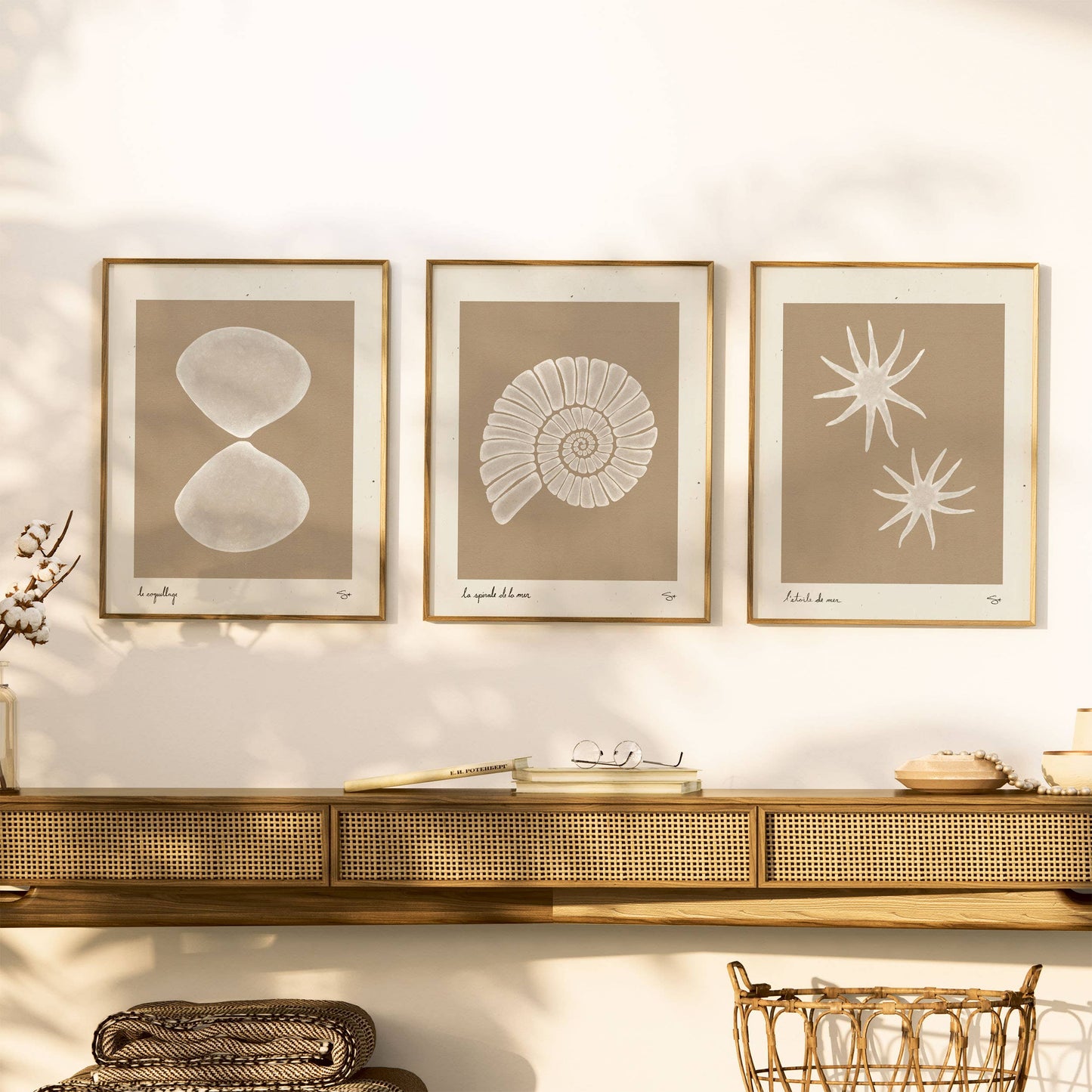 Sea Star 1 | Seashell Art Print