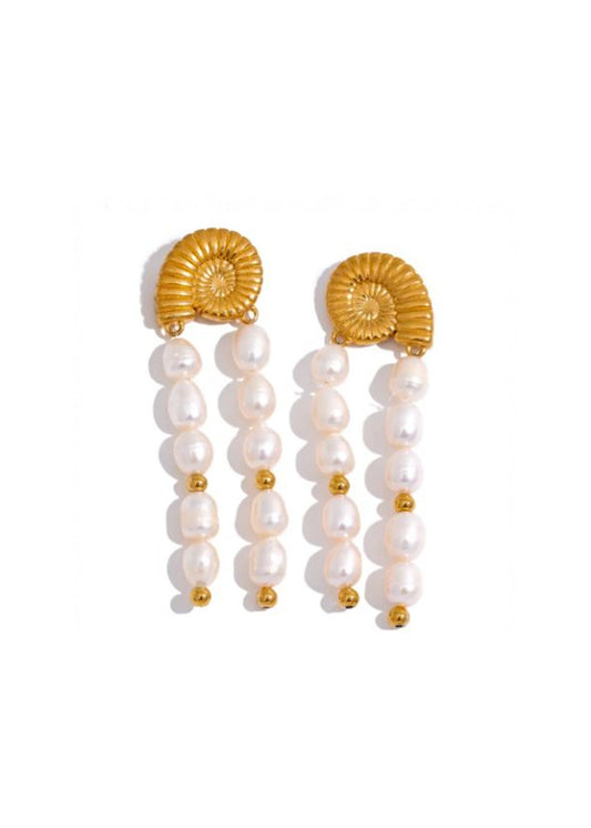 Shell Earrings