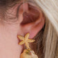 My Sister's Cottage | Waterproof | Starfish & Seashell Dangle Earrings