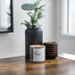 Sunkissed Rustic Wood Wick Candle