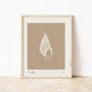 Sea Shell 2 | Seashell Art Print